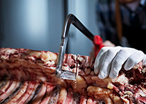 interessante, spannende und zukunftsorientierte Ausbildungs- und Arbeitsplätze